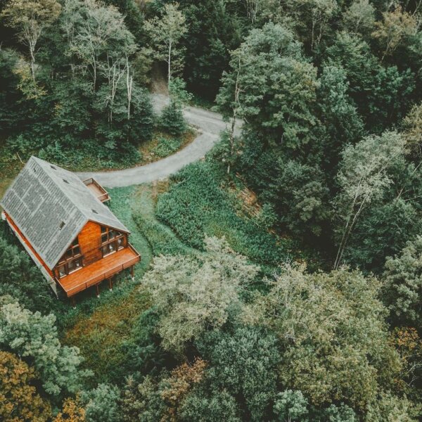 a lovely house in the forest surrounded by trees