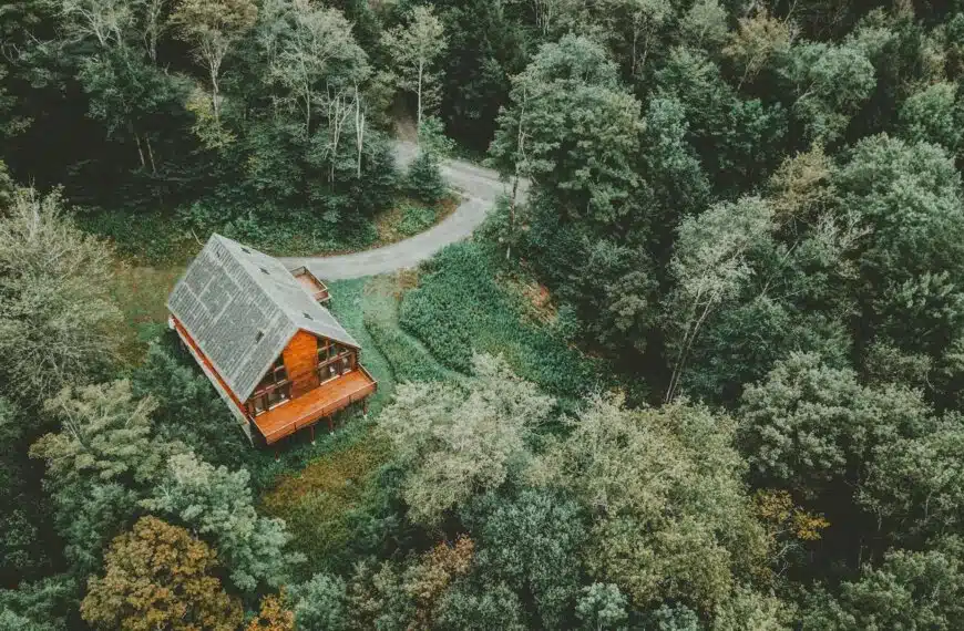 a lovely house in the forest surrounded by trees