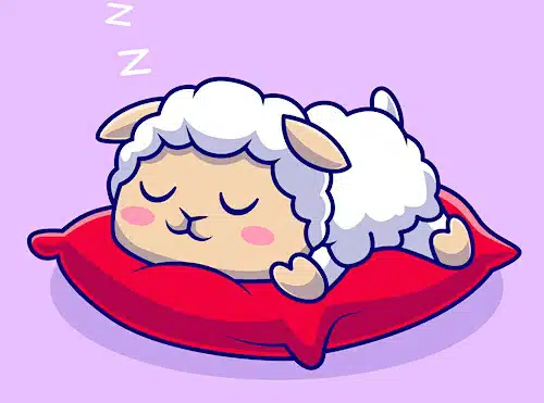 a lamb sleeping on a fluffy pillow