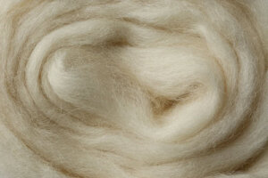 a close-up of wool batting